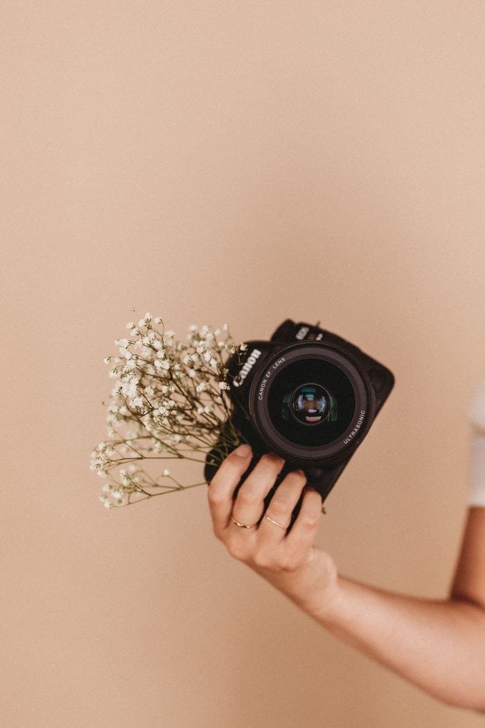 A hand holding a camera alongside a spray of dried flowers